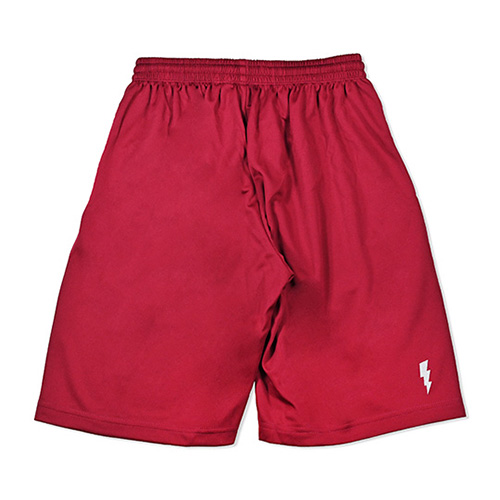 HXB DRY MESH PANTS 【Blackletter】 BURGUNDY×REF